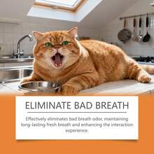 可饮用猫用漱口水，口腔护理水，日常清洁，控制牙垢和口臭 - 可飲用貓咪漱口水 - 查看 11