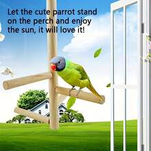 木制宠物鹦鹉架，鸟笼悬挂式秋千梯桥，鹦鹉栖木玩具，鸟爪磨爪器 - 經典直梯 - 查看 5