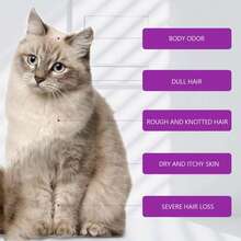 FurFresh宠物洗发水止痒狗狗洗发水温和顺毛猫咪洗澡用品丝滑毛发护发素舒缓皮肤护理家居用品FurFresh免洗狗狗泡沫洗发水幼犬幼猫干洗慕斯免冲洗宠物除臭剂顺毛清洁用品 - 均碼 - 查看 5