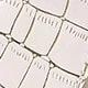 Beige Crocodile Pattern