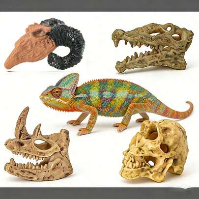 Reptile & Amphibian Habitat Decor Skeleton Ornaments, Suitable For Tortoises, Fish Tanks, Lizards, Geckos, Scorpions, Spiders, Frogs, Snakes And More