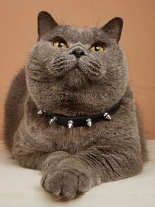 1pc Leather Rivet Pet Collar, Stylish And Durable Accessory - Black - View 1