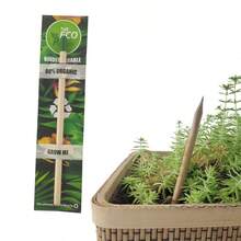 PLANT FUN 8 piezas Lápices de madera plantables de grafito sin afilar | Regalo para maestros, niños creativos y estudiantes | Lápices de crecimiento - Redondo - Ver 9