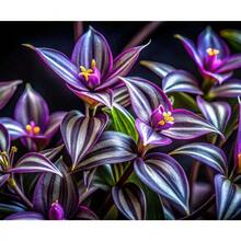 Green Violet Plant , Tradescantia , Hanging Violet Leaves, Green Plum Plant , Balcony Potted Flowers, And Green Plants - 500裝 - 查看 2