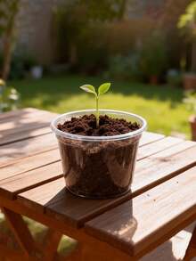 20 piezas Juego de macetas transparentes para semilleros, cada maceta de 4 pulgadas, incluye cúpula de humedad y tapa, ideal para germinación de semillas y plantas pequeñas, apto para uso en exteriores - A - Ver 1