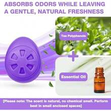 Air Jungles Shoe Deodorizer Balls 6 Ct, Lavender Scent, Odor Remover Balls For Sneakers, Gym Bags, Lockers, Closets, Hampers, And Drawers, Essential Oil Provides Natural Freshness - 6 Count (Pack Of 1) - View 2