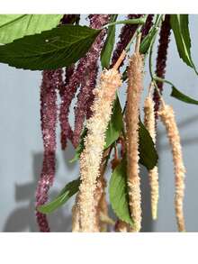 1株人造绿色垂吊苋菜，约53英寸（135厘米）长，采用优质PE塑料制成，柔韧的茎秆不易折断。 - 香檳粉 - 查看 6