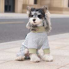 宠物服装，狗狗服饰，条纹项圈四脚狗狗运动套装，欧美新款春夏休闲家居服，牵引绳扣套装，英伦风家居服四脚英伦风狗狗服装 - 灰色 - 查看 8