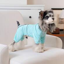 反光印花四脚宠物服装，狗狗服饰，猫咪装扮，休闲四脚服饰，时尚四脚宠物服装，韩式简约四脚设计 - 紫色 - 查看 6