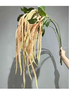 1株人造绿色垂吊苋菜，约53英寸（135厘米）长，采用优质PE塑料制成，柔韧的茎秆不易折断。 - 香檳粉 - 查看 5