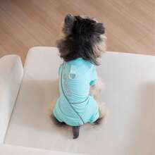 反光印花四脚宠物服装，狗狗服饰，猫咪装扮，休闲四脚服饰，时尚四脚宠物服装，韩式简约四脚设计 - 紫色 - 查看 8
