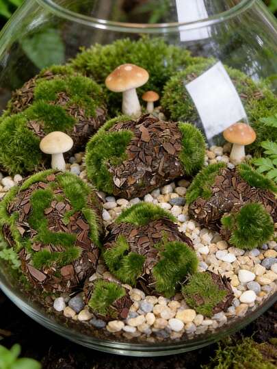 6pcs Artificial Green Moss Stones, Realistic Moss Balls And Rocks, Suitable For Floral Arrangements, Fairy Gardens And DIY, Made Of Ultra-Fine Fiber Material, Seasonal Decor, Garden Decor And Crafts, Miniature Landscape, Wall Decor And Photography Props, Outdoor Rock Garden Decor, Party And Holiday Decor, Boho Style, Bedroom Decor Accessories, Mother's Day Decor, Spring Decor