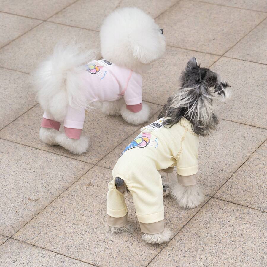 宠物服装、狗狗服饰、四脚休闲装、猫咪服装、透气降温背心、冰淇淋印花四脚套