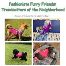 Dog Clothes Fashionable Sleeveless Pet Vest: 'Little Miss Sassy' Printed Cotton Dog Shirt Ideal For Small Medium And Large Breeds Ensuring Comfort And Breathability Rose Red S - S69磅 胸圍16.1 - 查看 7