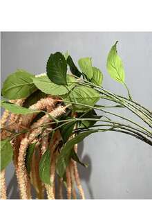 1株人造绿色垂吊苋菜，约53英寸（135厘米）长，采用优质PE塑料制成，柔韧的茎秆不易折断。 - 香檳粉 - 查看 3