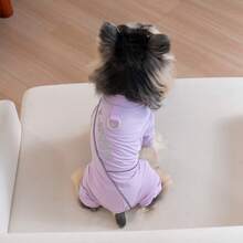 反光印花四脚宠物服装，狗狗服饰，猫咪装扮，休闲四脚服饰，时尚四脚宠物服装，韩式简约四脚设计 - 紫色 - 查看 13