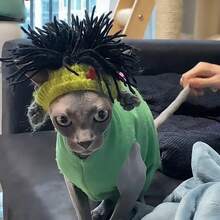 1 Mũ dễ thương cho mèo/chó cưng, Mũ đội đầu vui nhộn, Đồ dùng cho mèo, Chó nhỏ, Quần áo cho mèo, Mũ đội đầu mềm mại cho thú cưng nhỏ, Thích hợp cho mèo và chó con, Đồ dùng cho chó con - màu đen - Xem 3