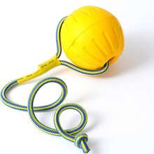 绳索狗玩具球，幼犬互动训练玩具，宠物咀嚼玩具，漂浮EVA弹性球 - 彩色 - 查看 1