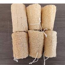 Natural Loofah - Handheld Kitchen Dish Scrubber, Grease Removing, Plastic-Free Cleaning Tool - Multicolor - View 8