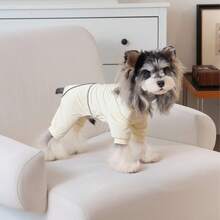 反光印花四脚宠物服装，狗狗服饰，猫咪装扮，休闲四脚服饰，时尚四脚宠物服装，韩式简约四脚设计 - 紫色 - 查看 11