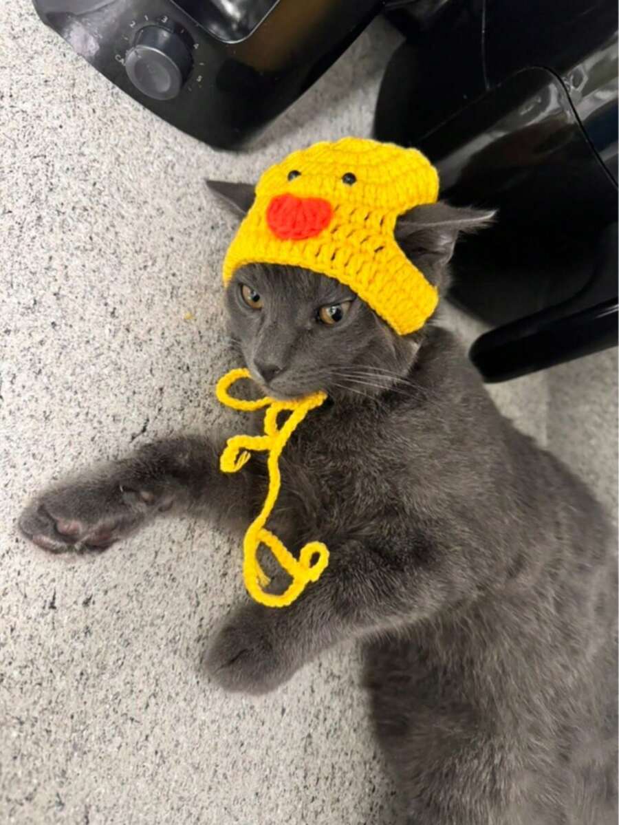 1顶手工钩织宠物帽，黄色小鸭款式，可调节 - 黃色 - 查看 1