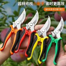 1把不锈钢园艺修枝剪，多功能树枝剪，防滑省力手动修剪园艺工具 - A - 查看 10