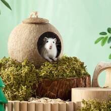 1pc Natural Coconut Shell Bird House, Breathable And Dry Pet Nest Made Of Material - View 5