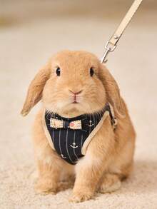 1pc Adjustable Rabbit Harness Leash, Stylish Bow Tie Rabbit Harness, Cute Anchor Pattern, Suitable For Small Pets & Rabbits, Small Animal Collar And Leash, Harness With Leash, Adjustable Leash, Dog Supplies, Cat Supplies - Multicolor - View 10