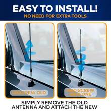 Compass - nègre - Voir 3