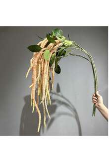 1株人造绿色垂吊苋菜，约53英寸（135厘米）长，采用优质PE塑料制成，柔韧的茎秆不易折断。 - 香檳粉 - 查看 1