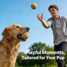 狗狗训练球套装，狗狗训练球，快乐狗狗捡球球，耐用剑麻绳材质，趣味宠物狗互动玩具，狗狗球类玩具，帮助清洁牙齿，推荐宠物狗用品 - 彩色 - 查看 11