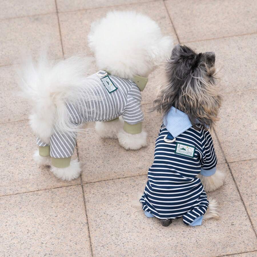 宠物服装，狗狗服饰，条纹项圈四脚狗狗运动套装，欧美新款春夏休闲家居服，牵引绳扣套装，英伦风家居服四脚英伦风狗狗服装