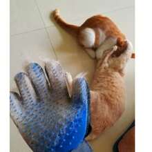 猫狗专用硅胶美容手套，按摩清洁 - 彩色 - 查看 4