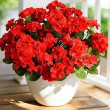 2pcs Artificial Geranium Flowers For Outdoor Decor. These Silk-Like Geranium Blooms Are UV-Resistant And Lifelike In Appearance. They Are Suitable For Outdoor Planters, Front Gardens, Patios, Balconies, Yards, And Porches. They Are Suitable For Year-Round Home And Garden Decoration. (Red) - Red - View 2