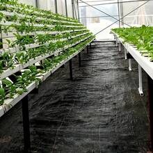 1包花园隔离布、屏障布、编织遮阳布，用于控制花园地面覆盖物，黑色花园床衬 - 1件防草墊 - 查看 8