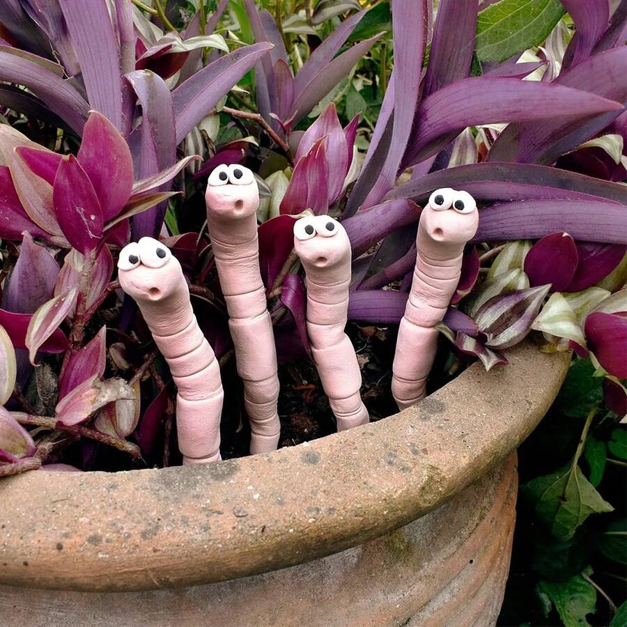 Cute & Interesting Desire Bug Potted Plant Humidity Meter - Color Changing Soil Moisture Indicator - Adorable & Practical Plant Care Accessory