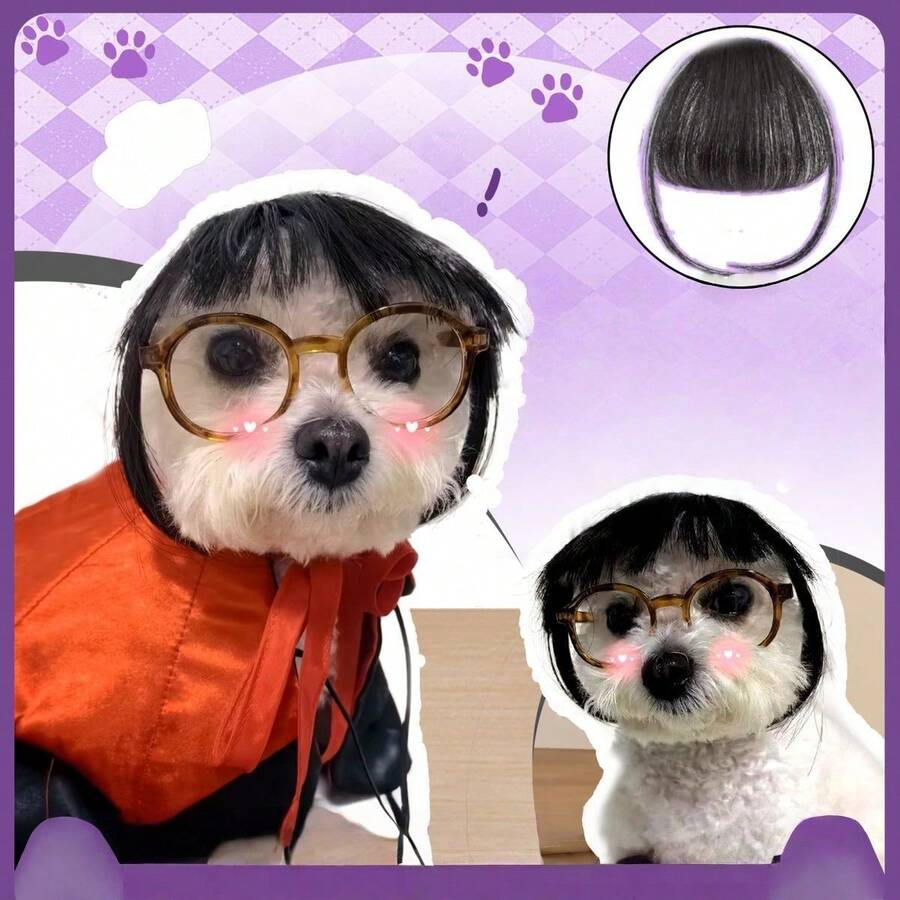 Pet Cat Wig With Bangs - Multicolor - View 1