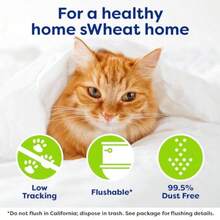 sWheat Scoop Arena para Varios Gatos - 25 libras - Ver 5