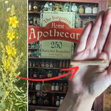 Forgotten Homeland Pharmacy : 250 Powerful Remedies At Your Fingertips Paperback - Mảnh duy nhất - Xem 5