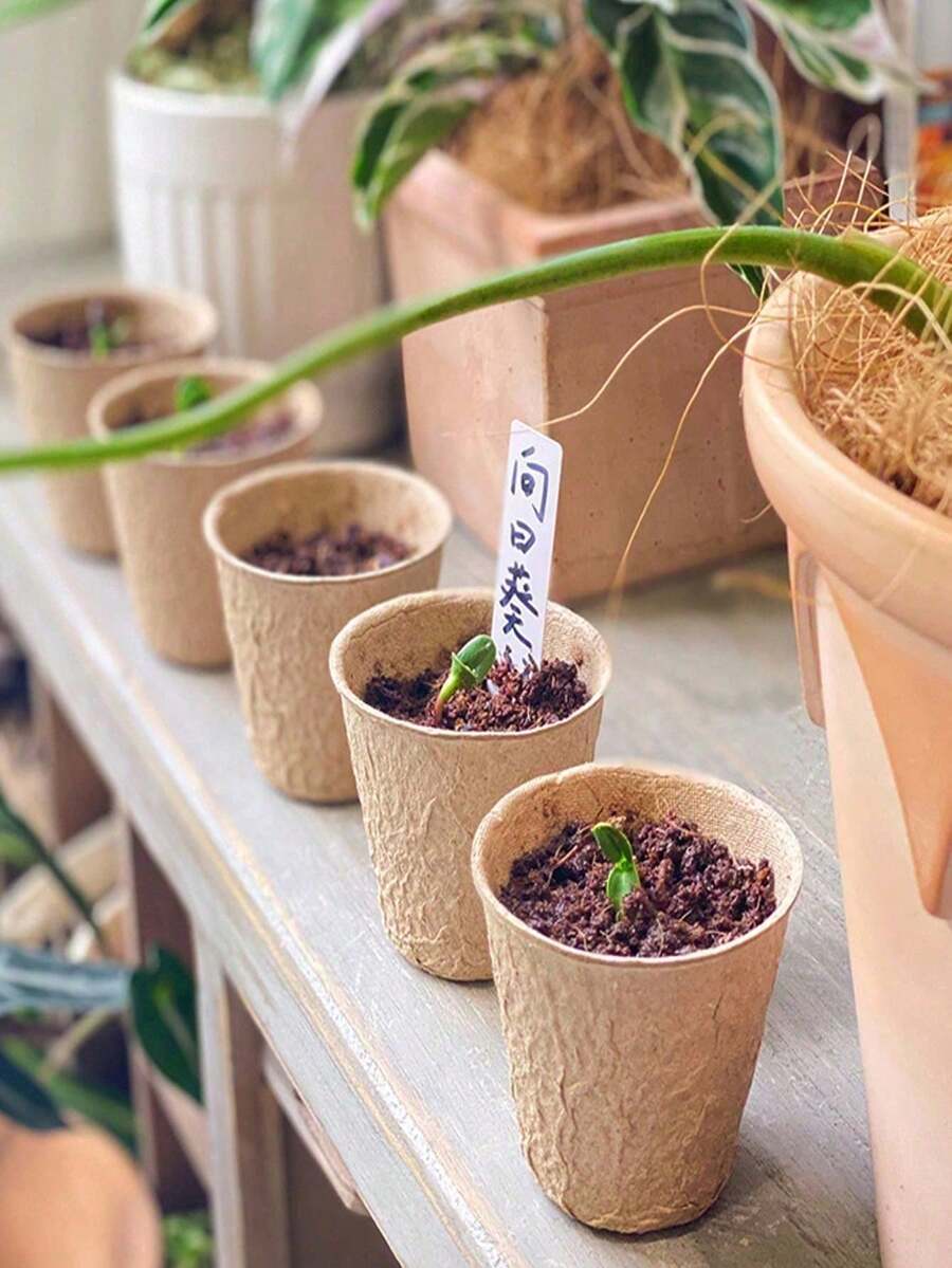 Bộ chậu ươm cây tròn chất lượng cao làm từ bột giấy, chậu ươm cây giống, bộ chậu trồng cây ban đầu, chậu ươm vườn, chậu cung cấp chất dinh dưỡng cho cây, chậu ươm cây con, chậu ươm cây con bằng bột giấy, chậu ươm cây giống, chậu giấy dùng một lần để cắm lá. - A - Xem 1