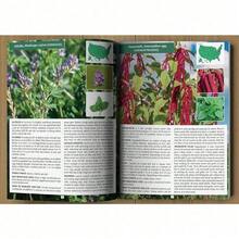 The Forager's Guide To Wild Foods | High-Quality Images & Maps For Plant Identification | Guidelines, Recipes, Full Page Photos, A5 - 1 - Xem 4