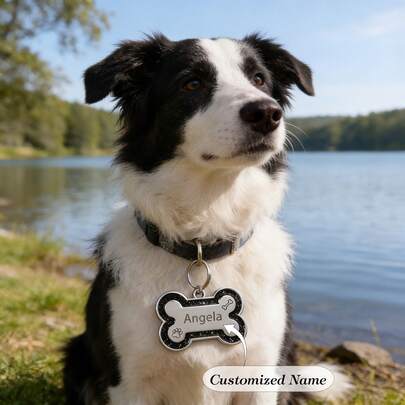 Etiqueta de identificación para mascotas personalizable de doble cara con forma de hueso y patrón brillante de huella de pata, se puede grabar con el nombre de la mascota, número de teléfono y fecha. Adecuado tanto para gatos como para perros como artículo conmemorativo.