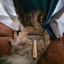 Pet Fur Remover - Multi-Surface Carpet Lint Brush, Deep Cleaning Hair Removal Tool For Sofa, Carpet, Pet Furniture, Cats & Dogs - 1pc Shaving Tool - View 6