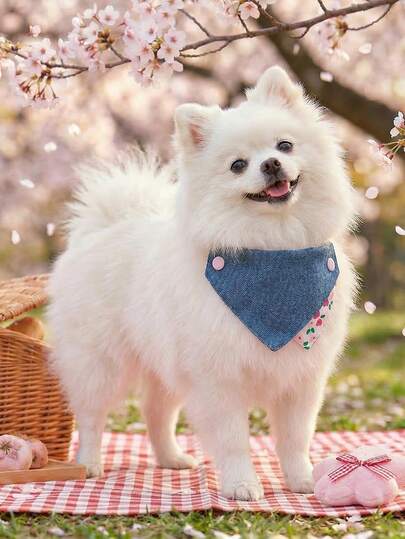 PETCIRCLE סינר לחיות מחמד אחד, אביזר חמוד וקז'ואל לכלבים קטנים כמו טדי, פומרניאן - משולש ורוד קטן