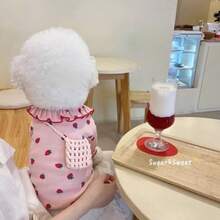 宠物小狗小猫草莓双腿服装新款秋冬服装泰迪比熊贵宾犬和其他小型犬猫服装 - 彩色 - 查看 2