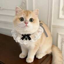 1pc Cute Bow Tie Cat Collar With Saliva Towel Woven Neck Ring, Pet Collar Decor, Adorable Dog Photography Prop - Multicolor - View 2