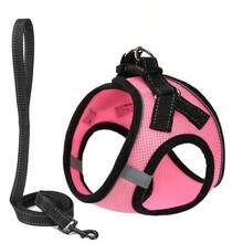 Bộ vòng cổ, dây xích và dây đeo cho thú cưng - Hồng - Xem 10