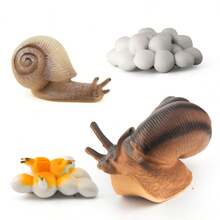 Bộ 4 món, mô hình giáo dục vòng đời ốc sên và bạch tuộc sống động như thật, tượng động vật bằng nhựa mô phỏng sự phát triển, thích hợp để trang trí nhà cửa, trồng cây xanh, cũng rất tuyệt vời cho Ngày Thánh Patrick, Ramadan, Lễ Phục Sinh, Lễ Tốt Nghiệp, Sinh Nhật, Trang Trí Đám Cưới. - Bộ 4 món mô phỏng chu kỳ sinh trưởng của ốc sên - Xem 6