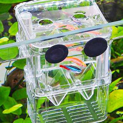 1pc PVC Material Fish Breeding Box, Double-Layer Transparent Fish Breeding Isolation Box, Hatchery Aquarium Spawning Tank
