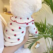 Pet Puppy Cat Strawberry Two-Legged Clothing New Autumn And Winter Clothes Teddy Bichon Poodle And Other Small Dog And Cat Clothing - Multicolor - View 1